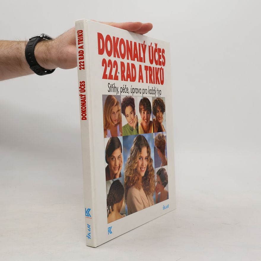 Daniel Mráz Dokonalý účes. 222 rad a triků