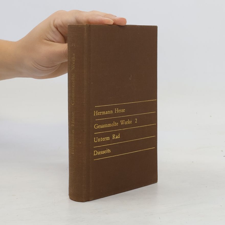 Hermann Hesse Gesammelte Werke 2
