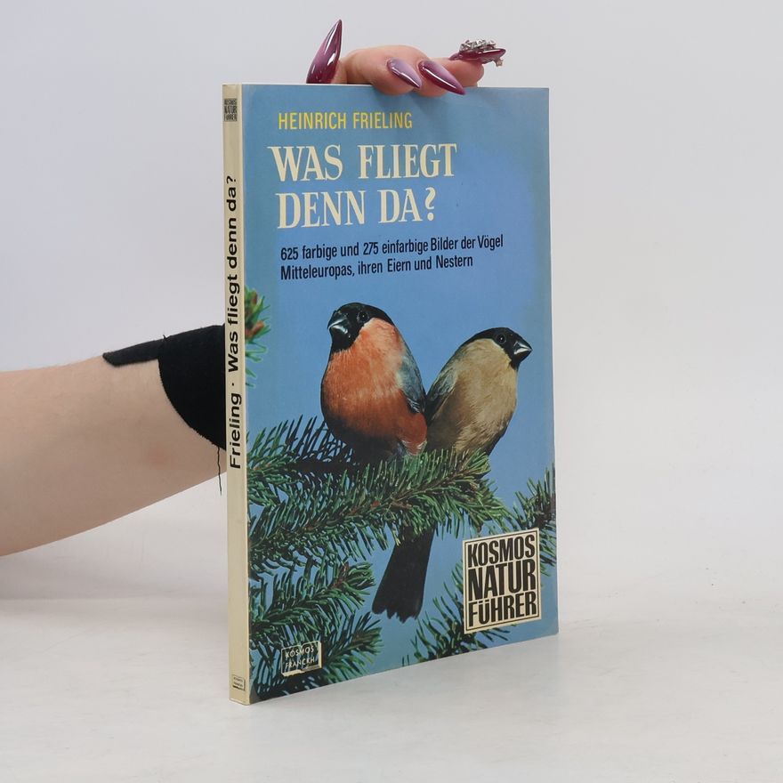 Heinrich Frieling Was fliegt denn da?