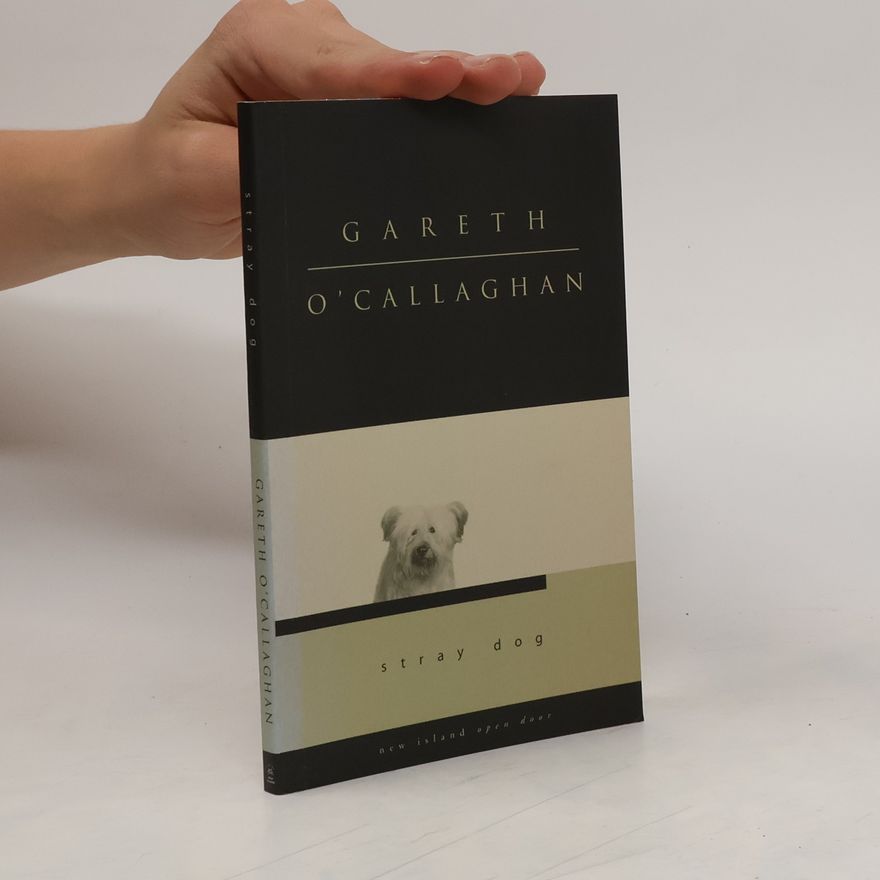 Gareth O'Callaghan Open Doors: Stray Dog