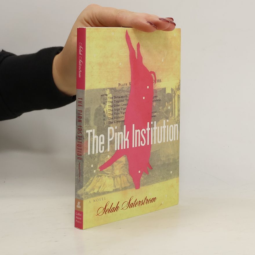 Selah Saterstrom The Pink Institution