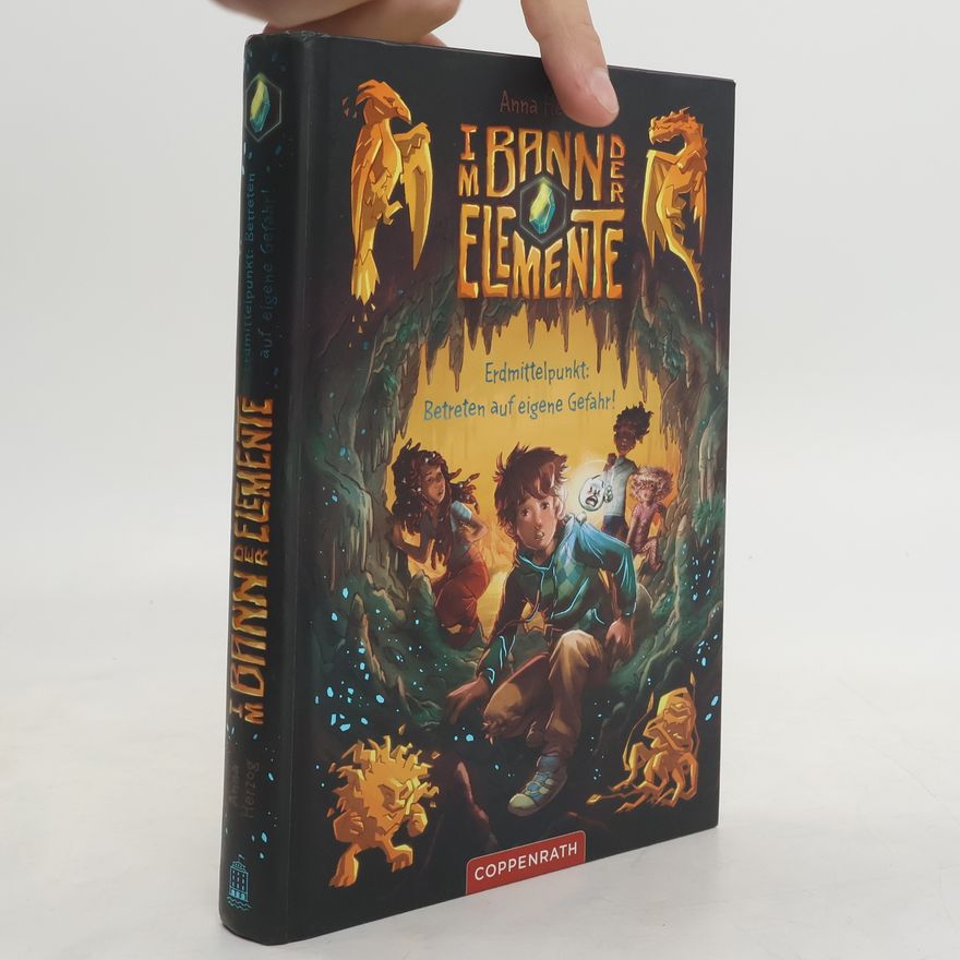 Mandy Schlundt Im Bann der Elemente (Bd. 1)