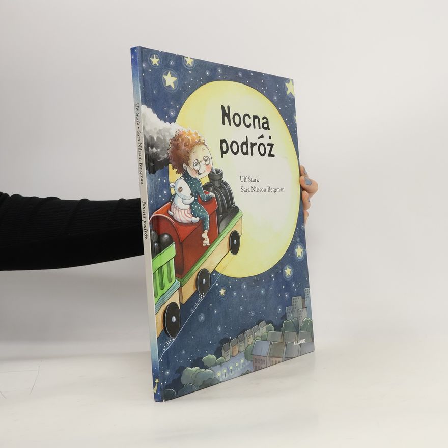 Sara Nilsson Bergman Nocna podróż