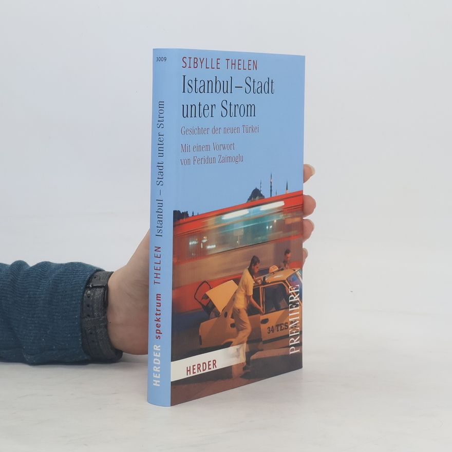Sibylle Thelen Istanbul - Stadt unter Strom