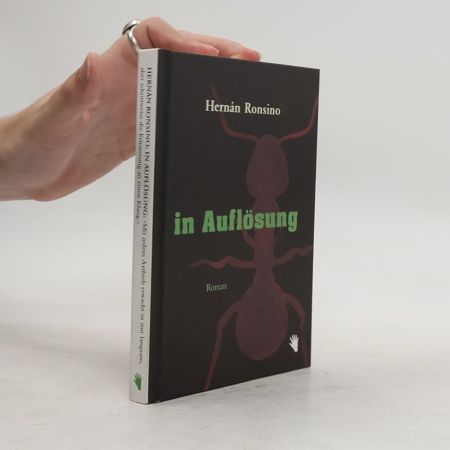 Hernán Ronsino In Auflösung