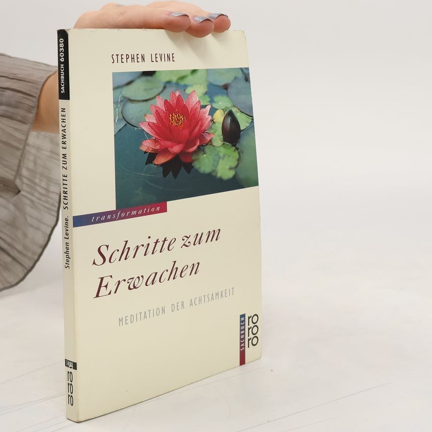Stephen Levine Schritte zum Erwachen