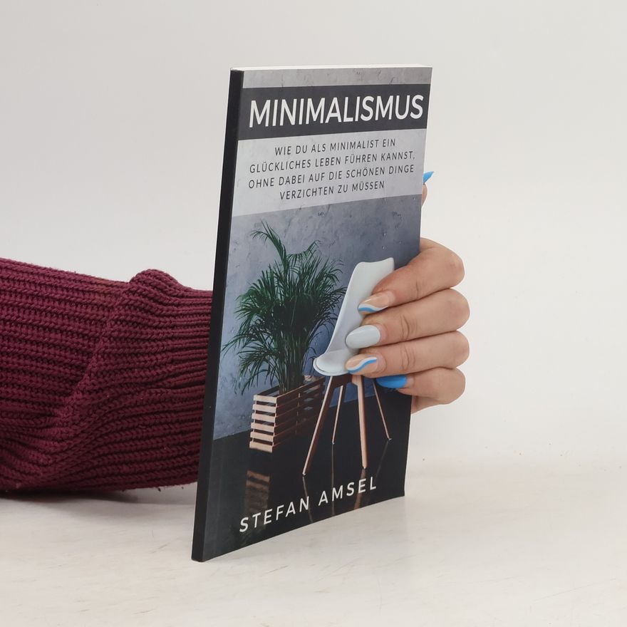 Stefan Amsel Minimalismus
