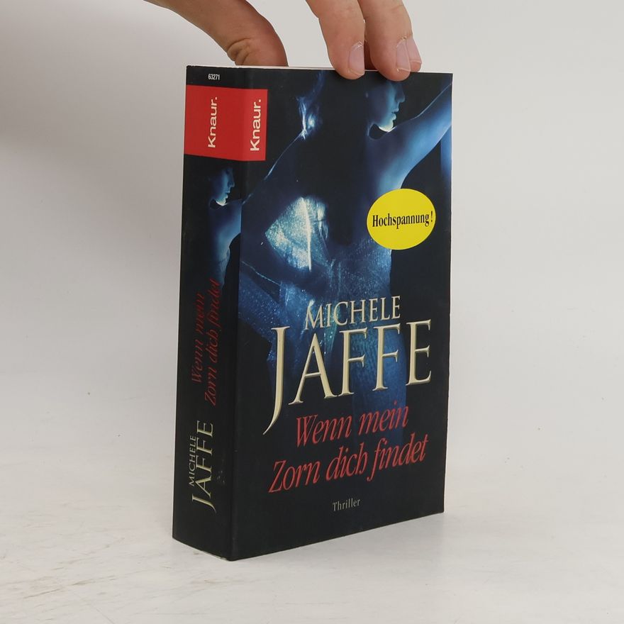 Michele Jaffe Wenn mein Zorn dich findet
