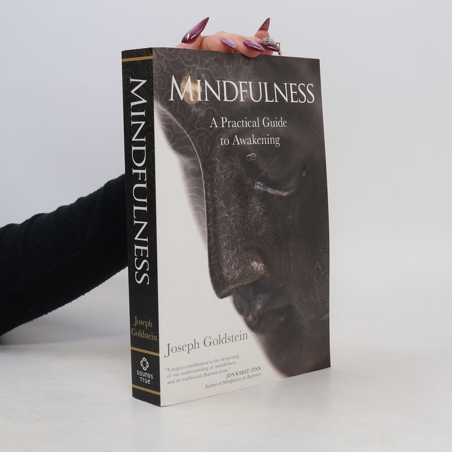 Joseph Goldstein Mindfulness
