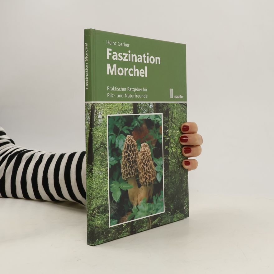 Heinz Gerber Faszination Morchel