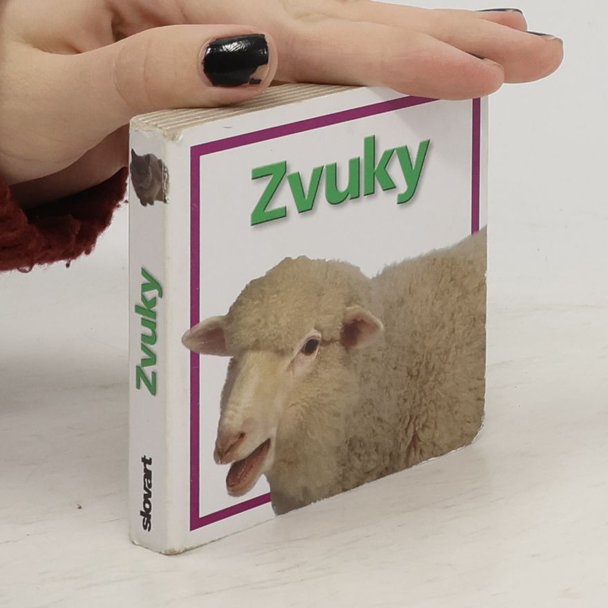 kolektiv Zvuky