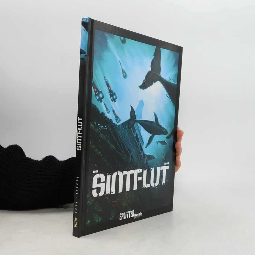 Nicolas Pona Sintflut