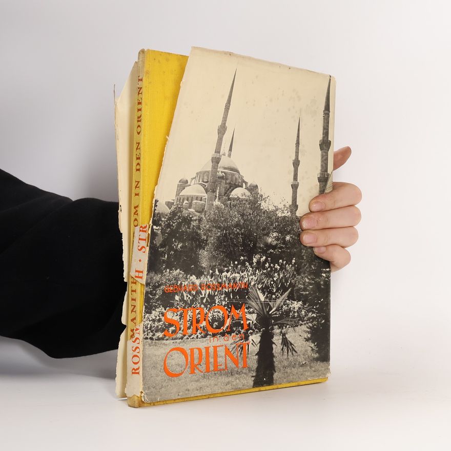 Gebhard Roßmanith Strom in der Orient