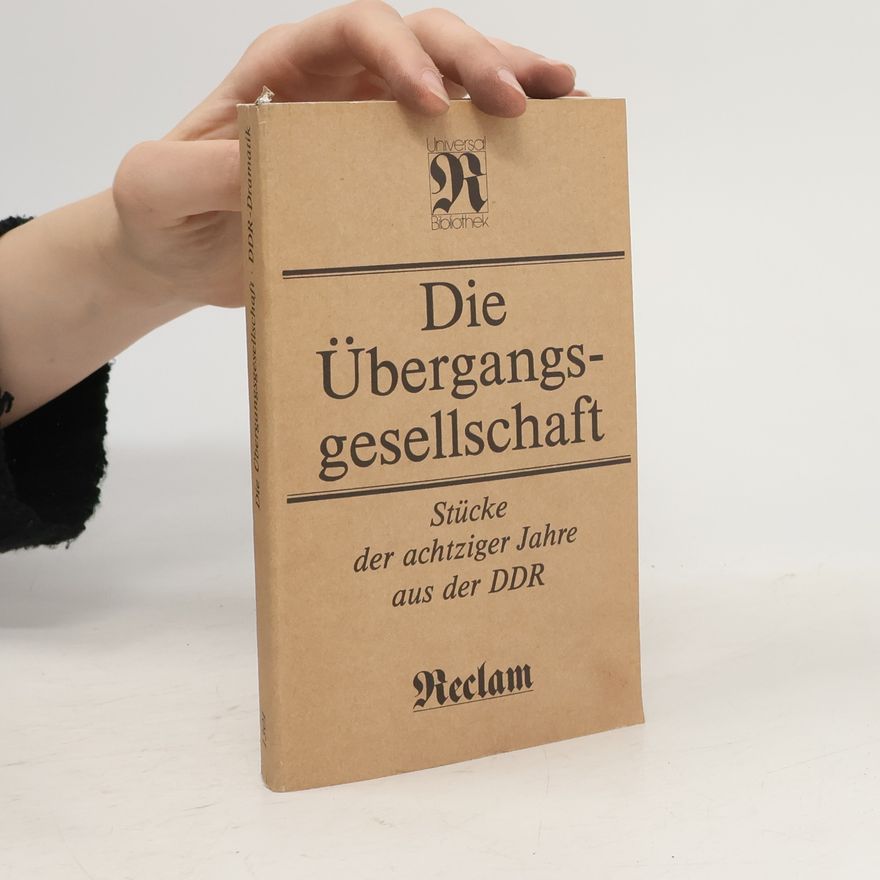 Peter Reichel Die Übergangsgesellschaft