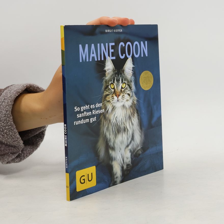 Birgit Kieffer Maine Coon