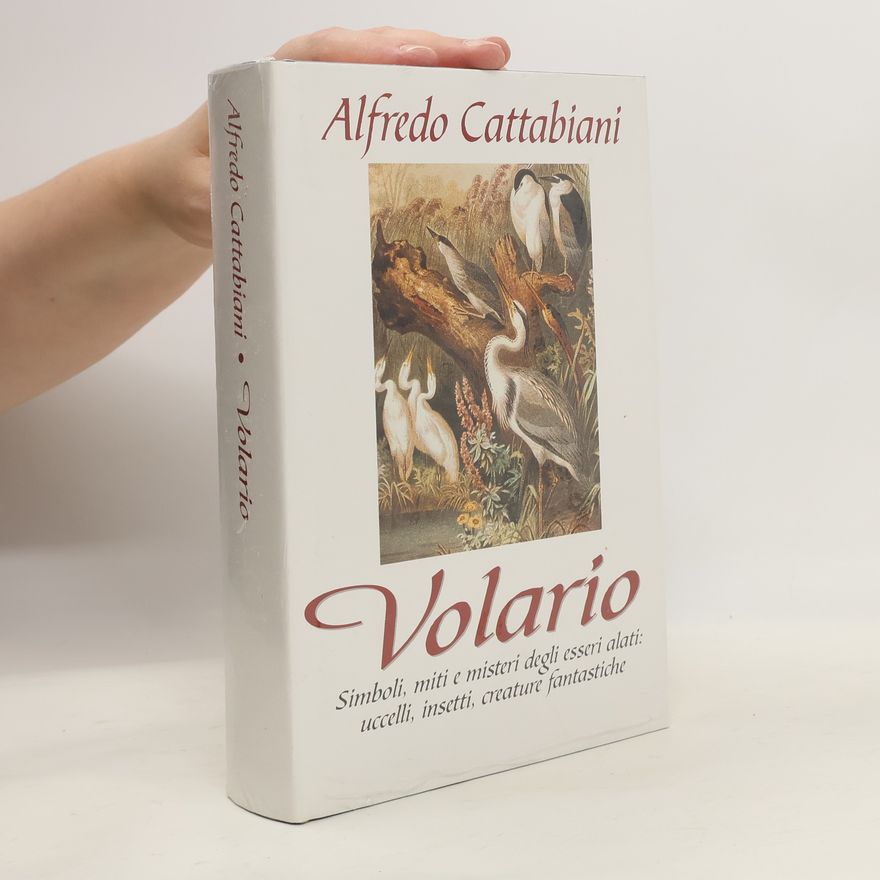 Alberto Graziani Volario