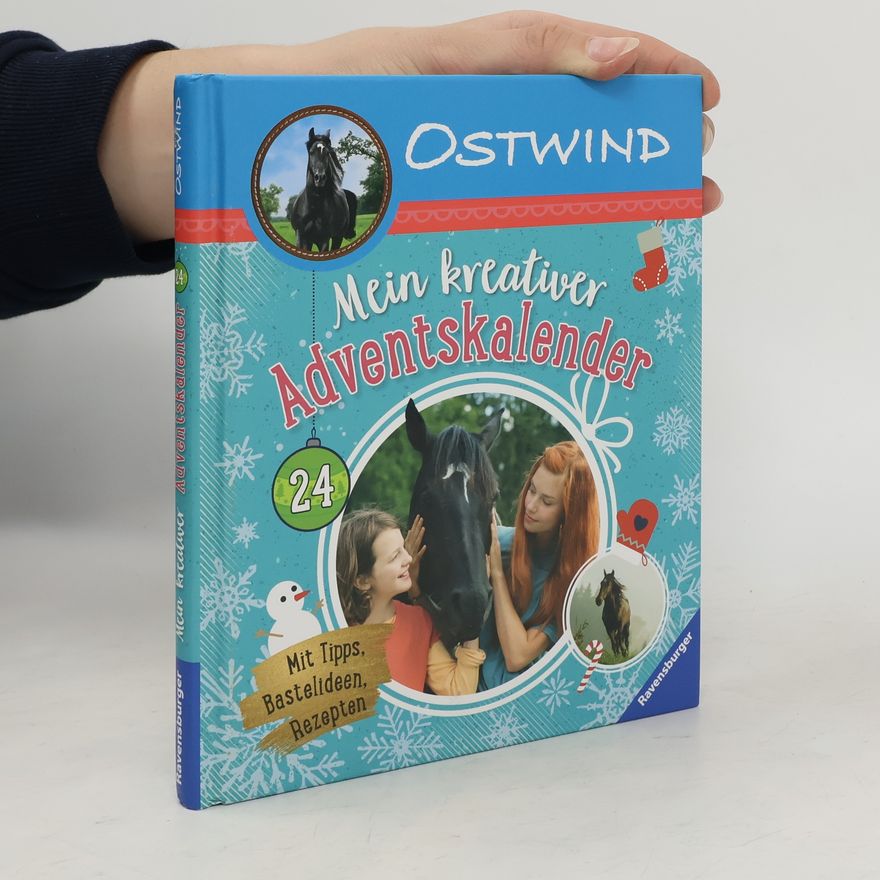 Autorenkollektiv Mein kreativer Adventskalender