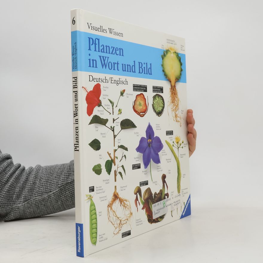 Johanna Huber Das Buch der Kinderbeschäftigungen