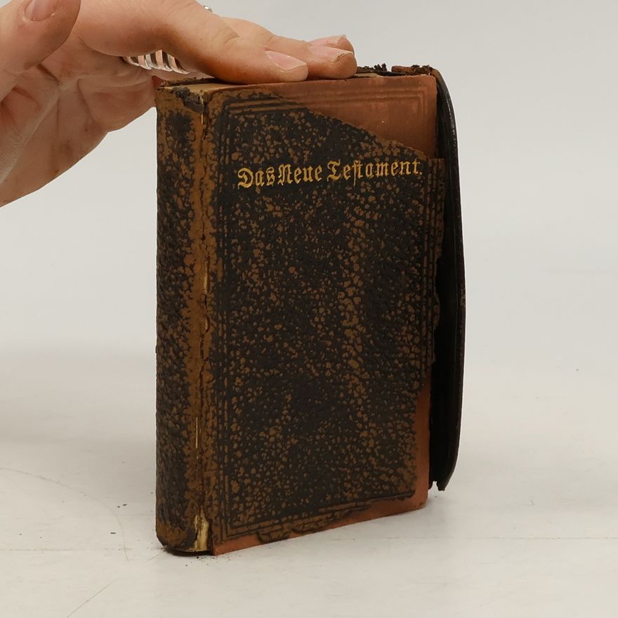 Kolektiv autorů Das neue Testament