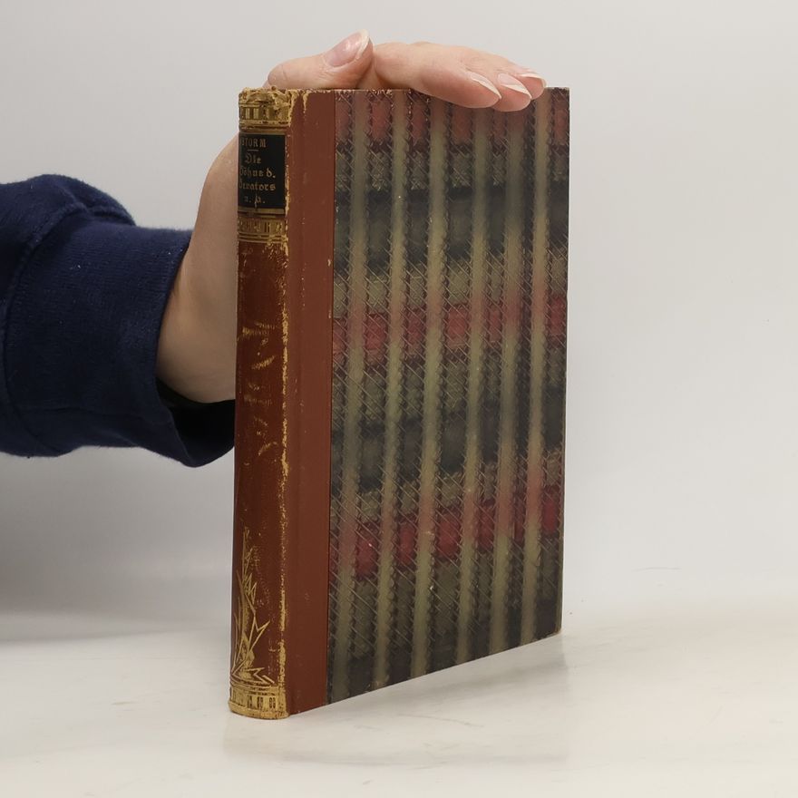 Theodor Storm Die Söhne des Senators und andere Novellen