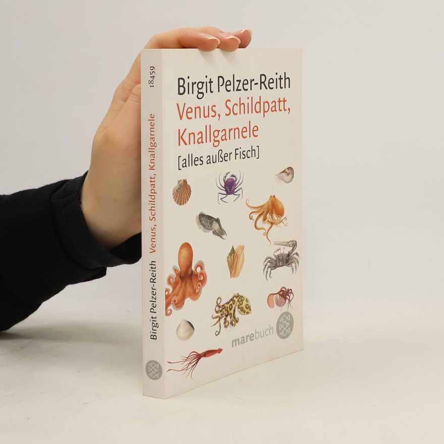 Birgit Pelzer Reith Venus, Schildpatt, Knallgarnele