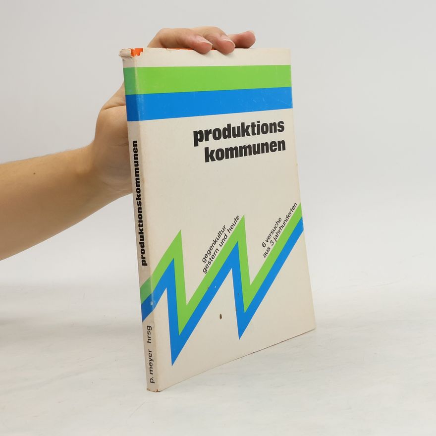 Rainer-Peter Meyer Produktionskommunen