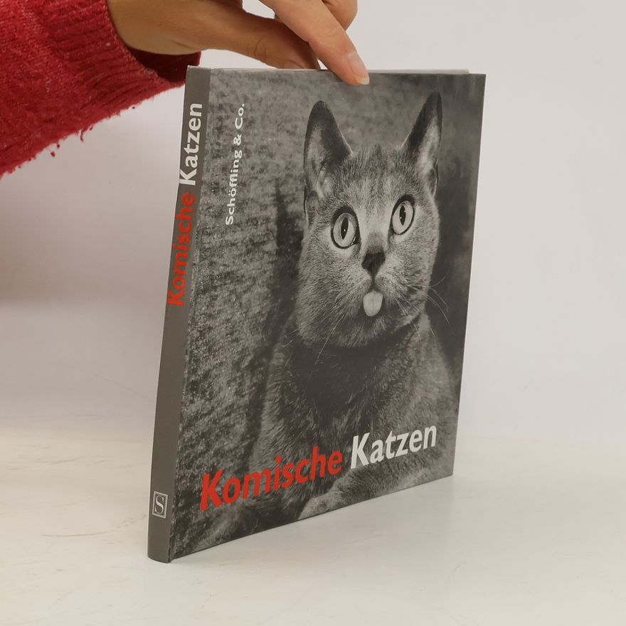 Julia Bachstein Komische Katzen