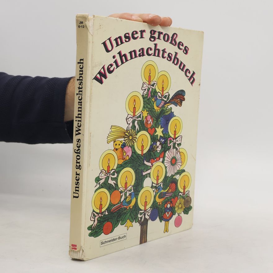Kolektiv autorů Unser großes Weihnachtsbuch