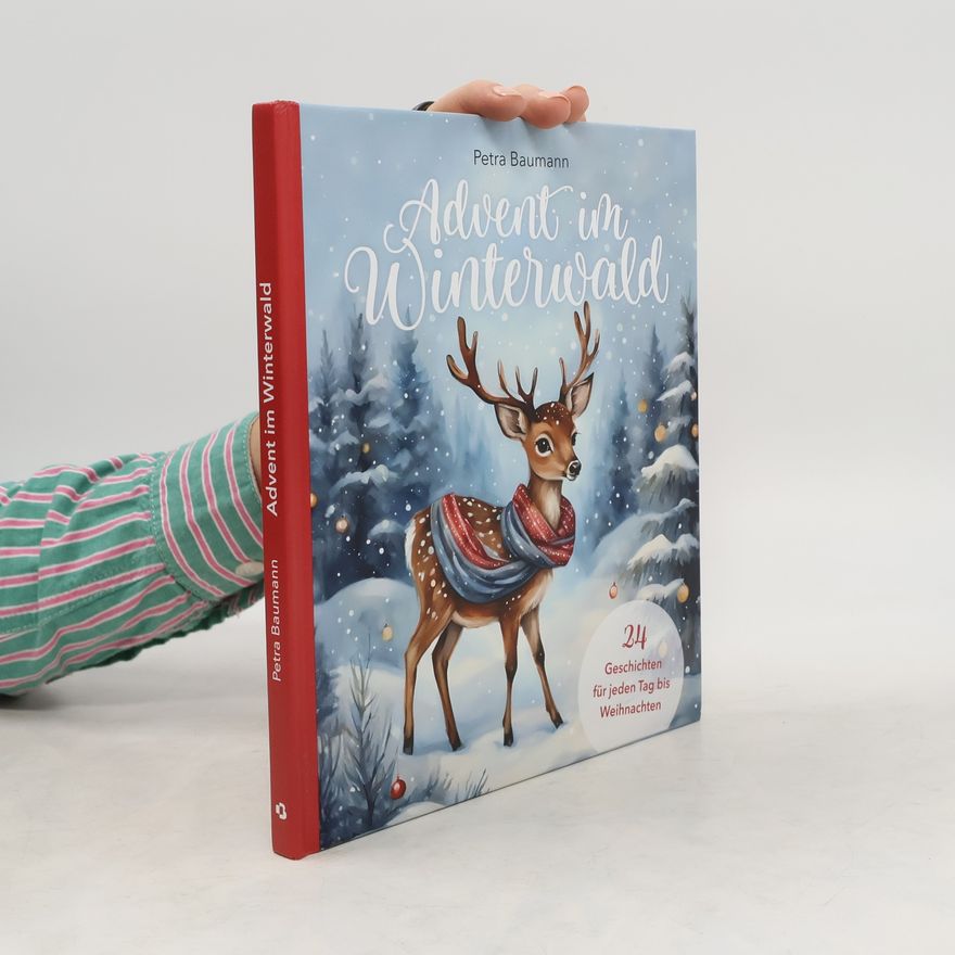 Petra Baumann Advent im Winterwald