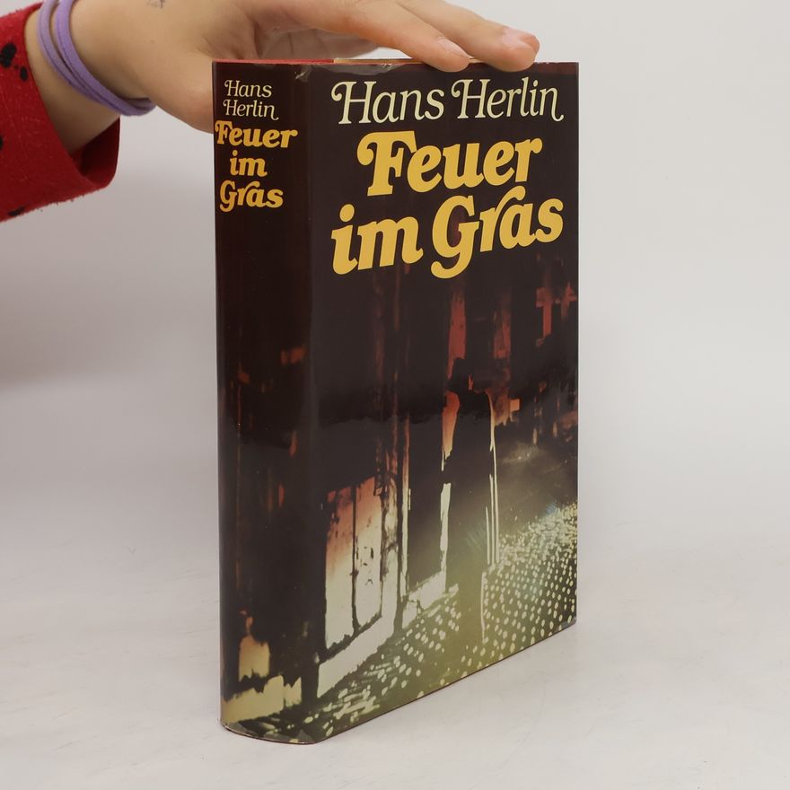 Hans Herlin Feuer im Gras