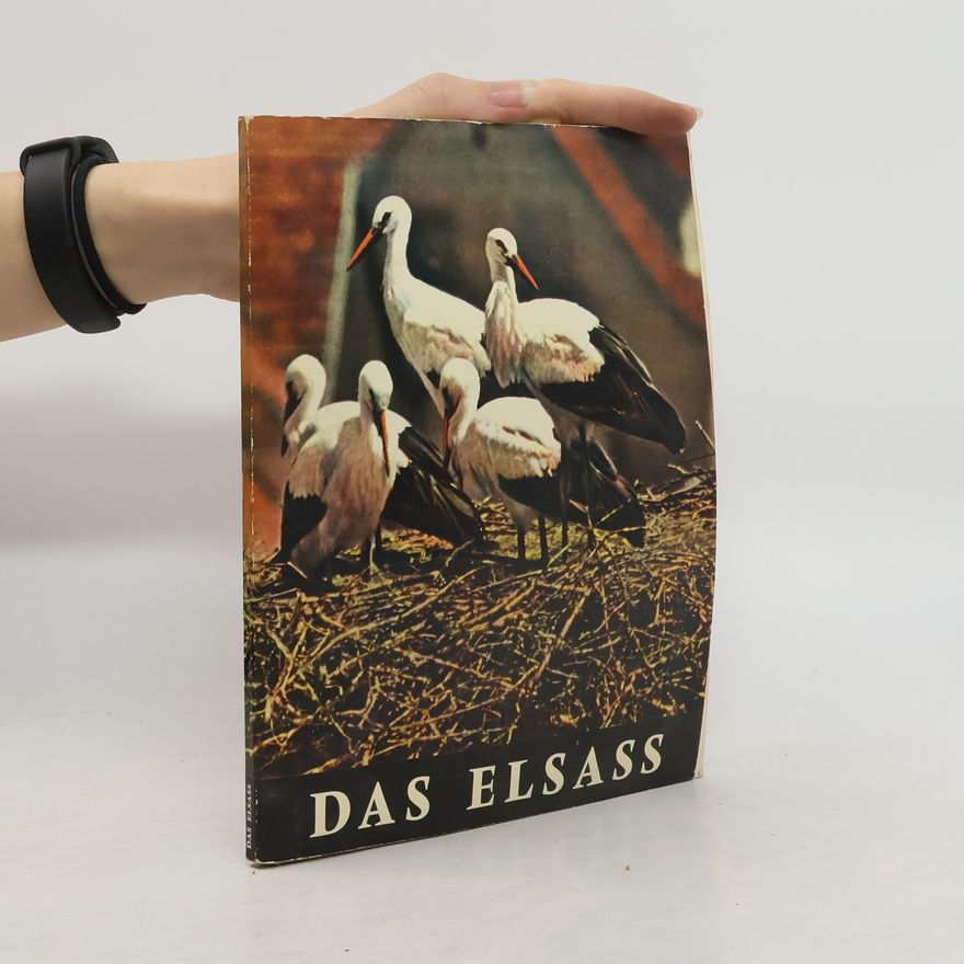 Kolektiv autorů Das Elsass