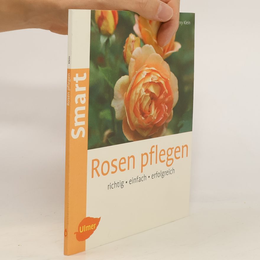 Henry Klein Rosen pflegen