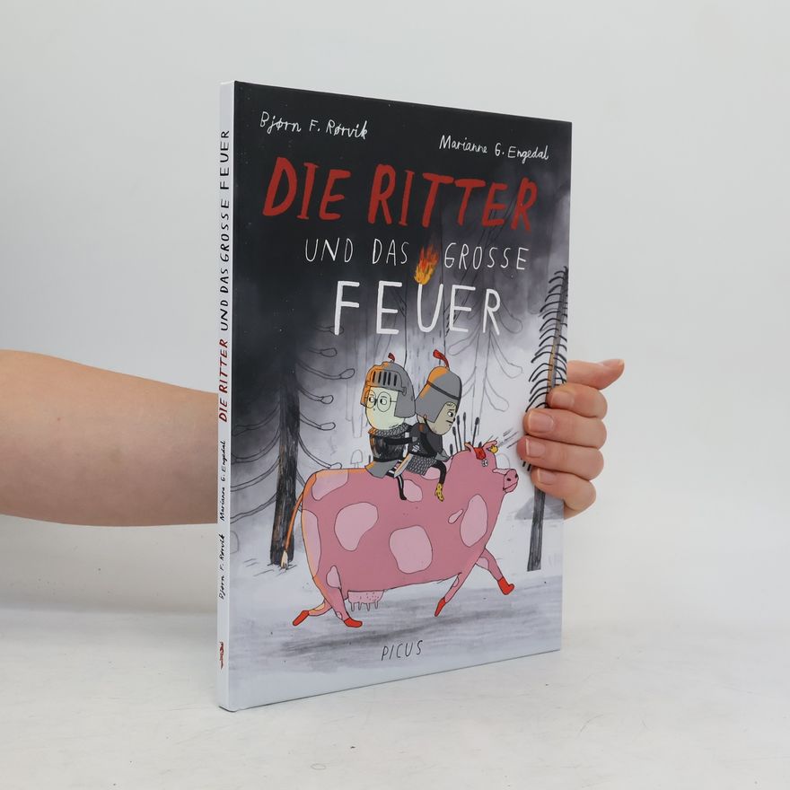 Marianne Gretteberg Engedal Die Ritter und das große Feuer