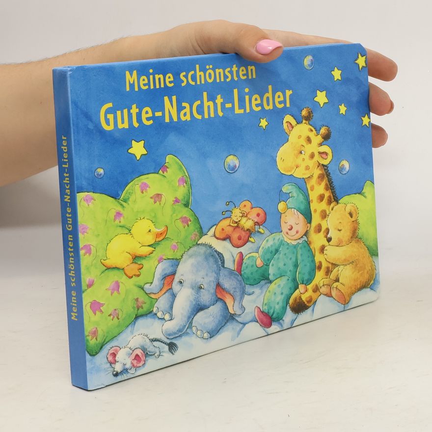 Autorenkollektiv Meine schönsten Gute-Nacht-Lieder