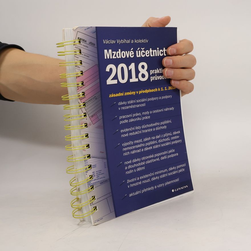 Václav Vybíhal Mzdové účetnictví 2018