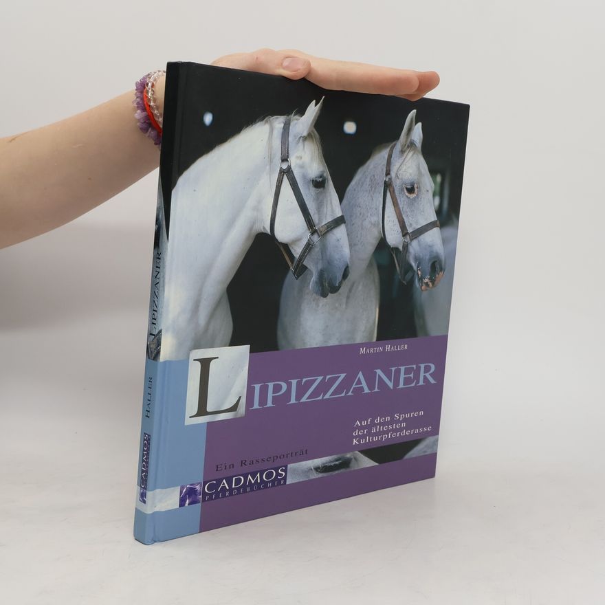 Martin Haller Lipizzaner