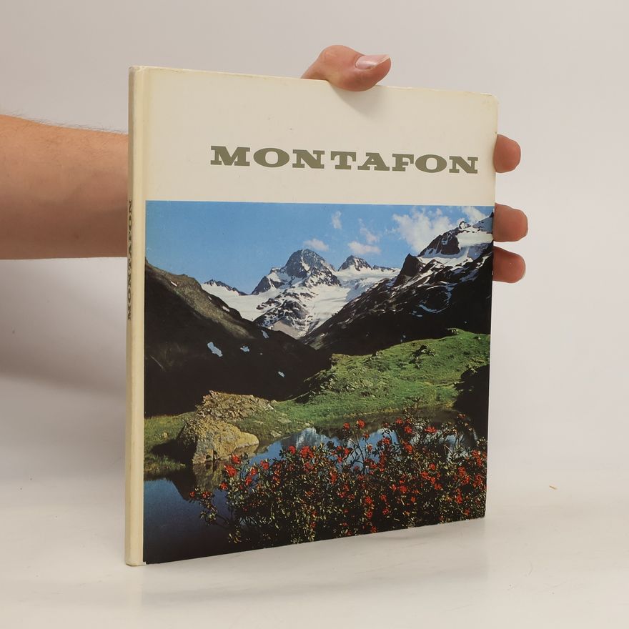 Jürgen Piske Montafon
