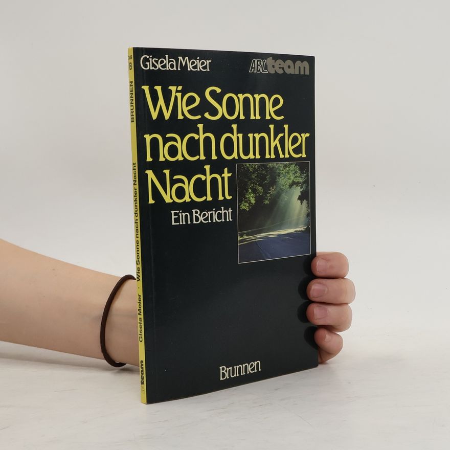 Gisela Meier Wie Sonne nach dunkler Nacht