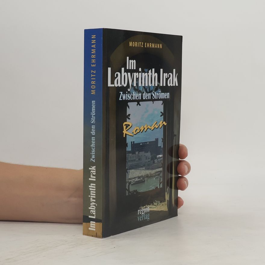 Moritz Ehrmann Im Labyrinth Irak