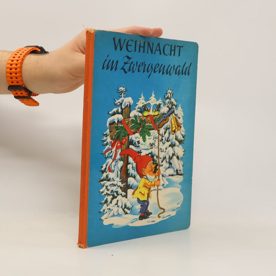 Autorenkollektiv Weihnacht im Zwergenwald