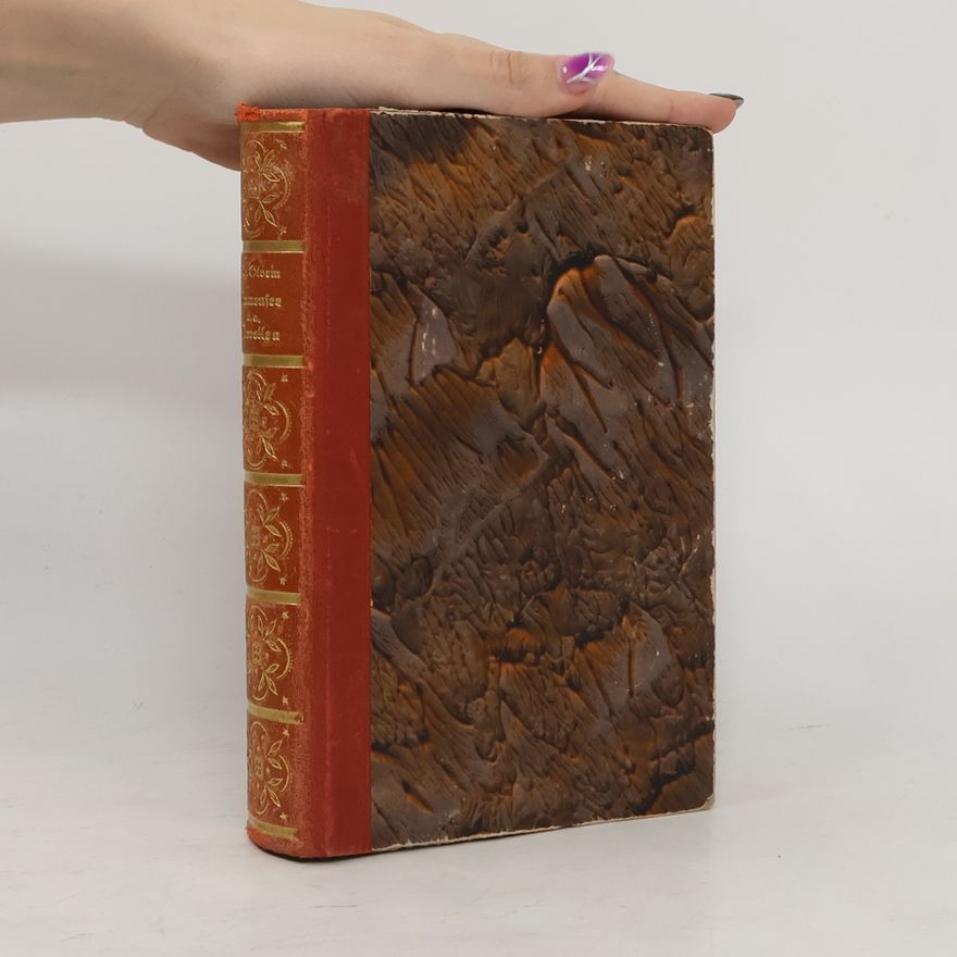 Theodor Storm Immensee und andere Novellen