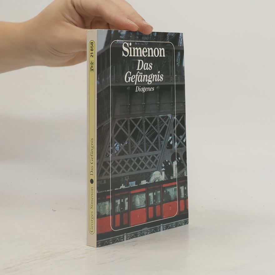 Georges Simenon Das Gefängnis