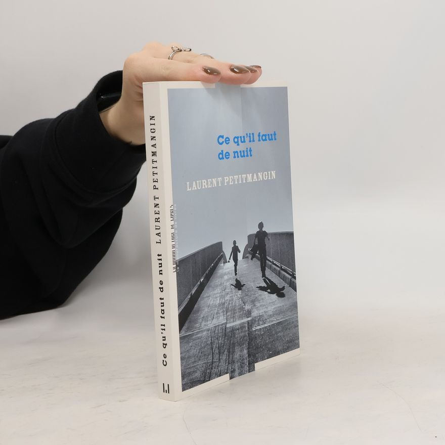 Laurent Petitmangin Ce qu'il faut de nuit