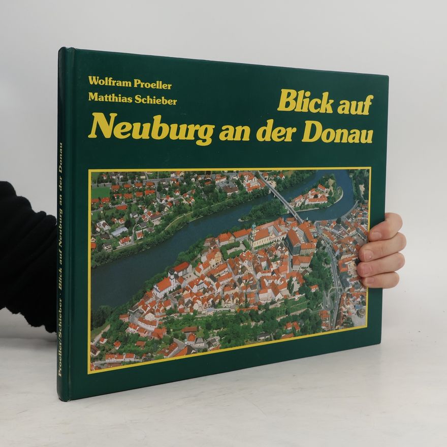 Matthias Schieber Blick auf Neuburg an der Donau