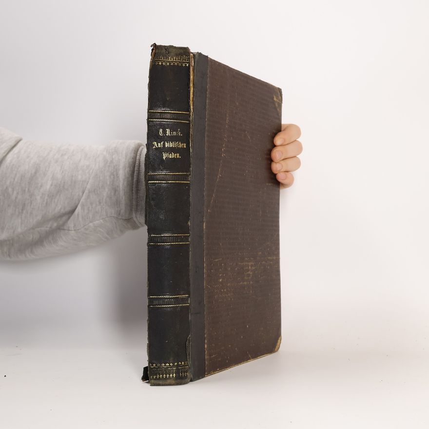 Carl Ninck Auf biblischen Pfaden