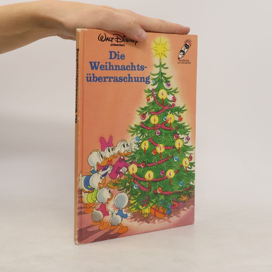 Kolektiv autorů Die Weihnachtsüberraschung