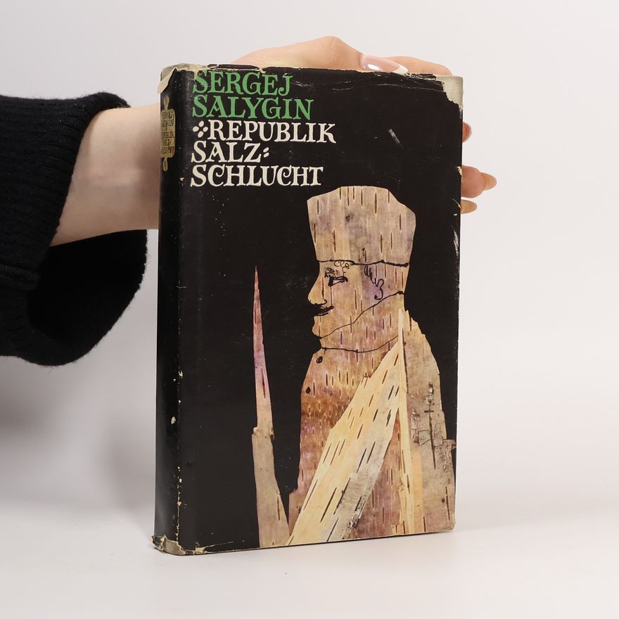 Sergej Salygin Republik Salz Schlucht