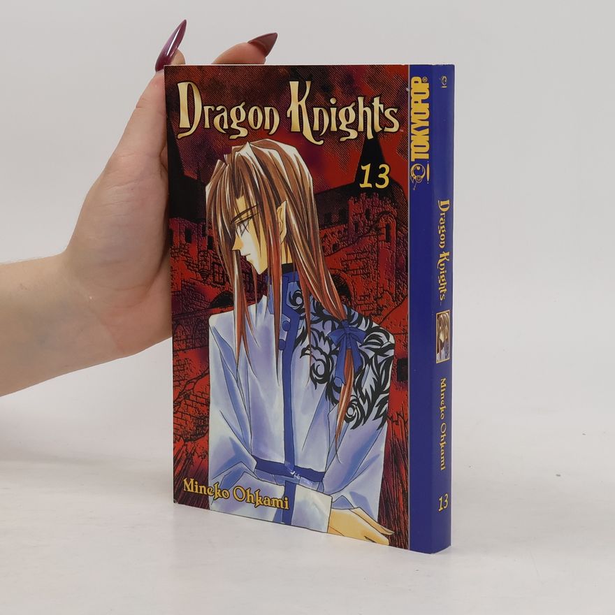 Mineko Ohkami Dragon Knights 13