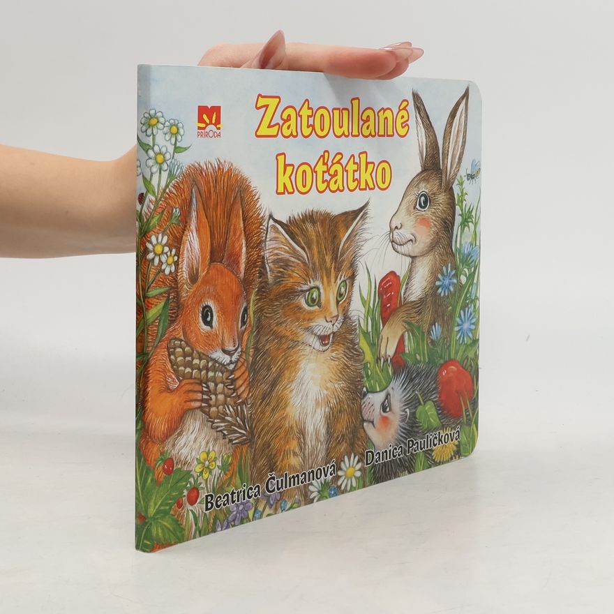 Danica Pauličková Zatoulané koťátko