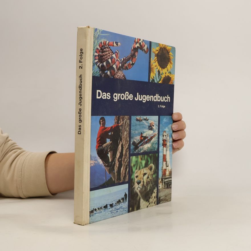 Kolektiv autorů Das grosse Jugendbuch 2